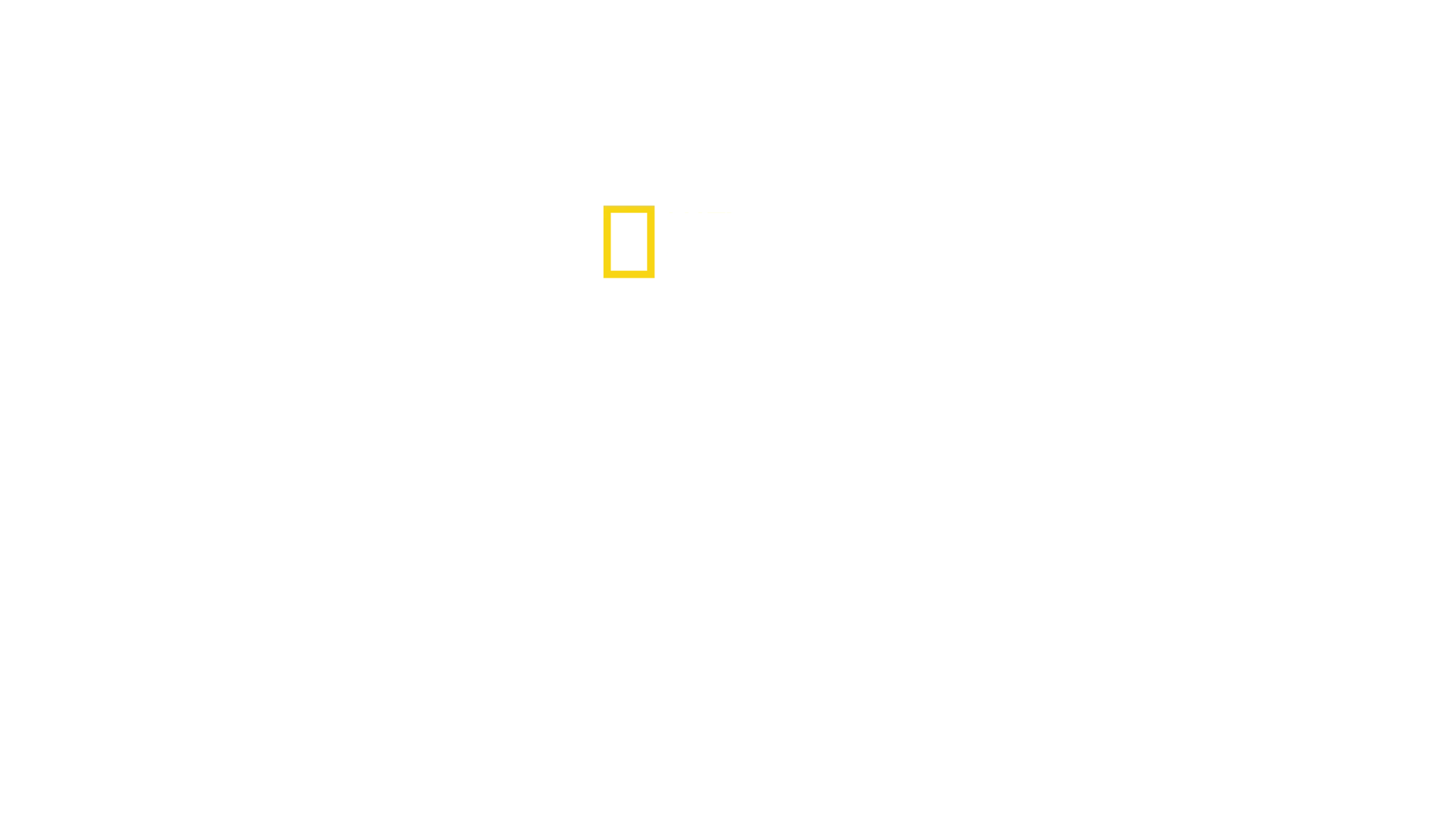 Sem Censura