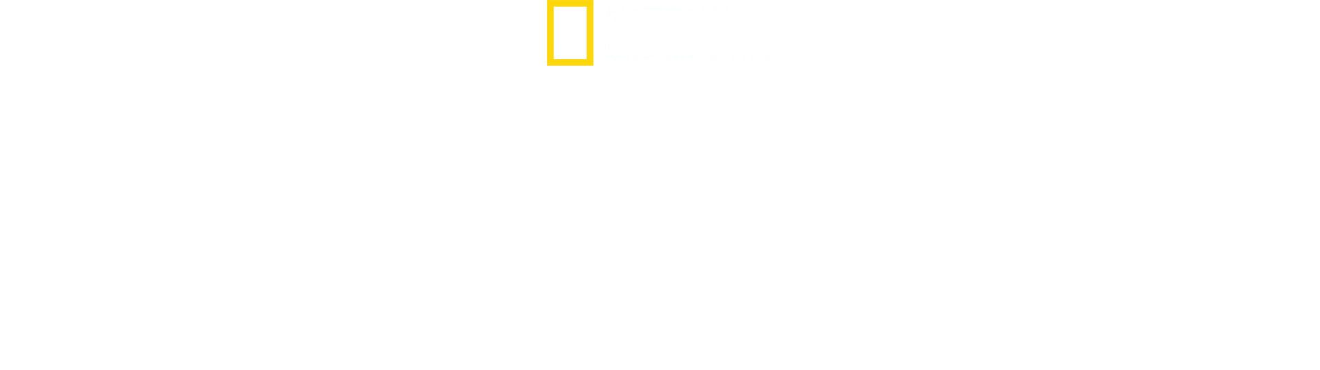 Sem Censura