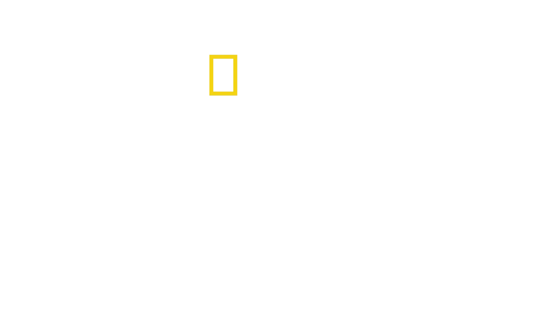 Bayrak Fabrikası