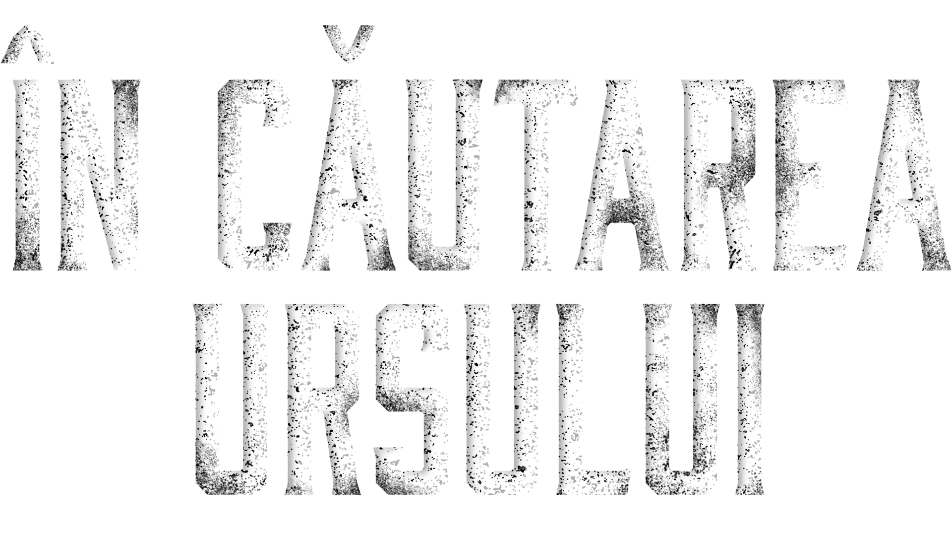 În căutarea ursului