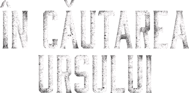 În căutarea ursului
