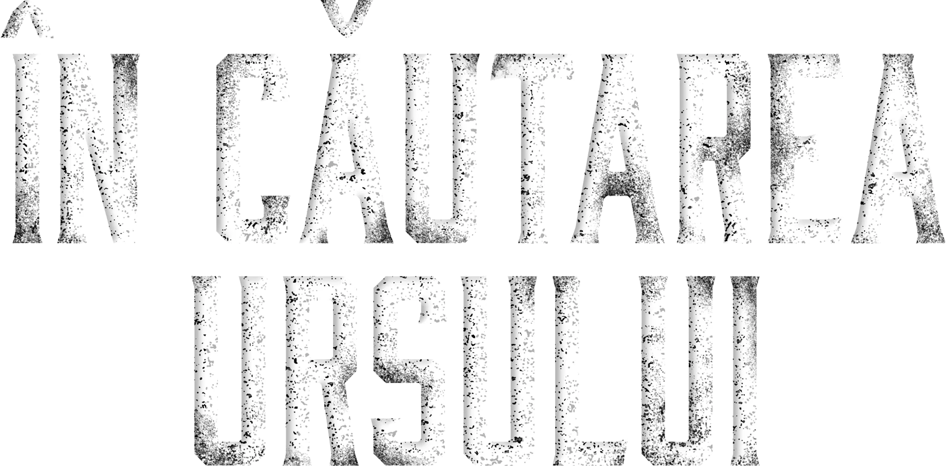În căutarea ursului