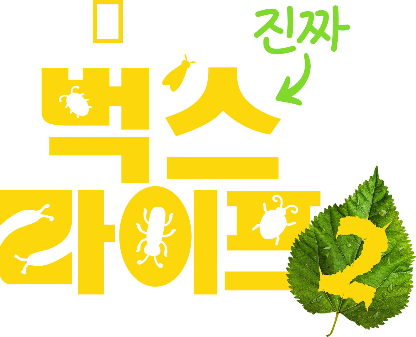 진짜 벅스 라이프