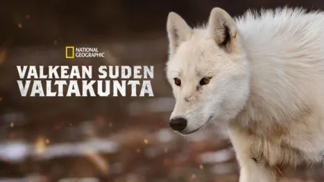 thumbnail - Valkean suden valtakunta