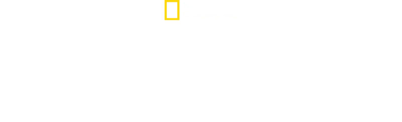 Pohotovosť pre exotické zvieratá