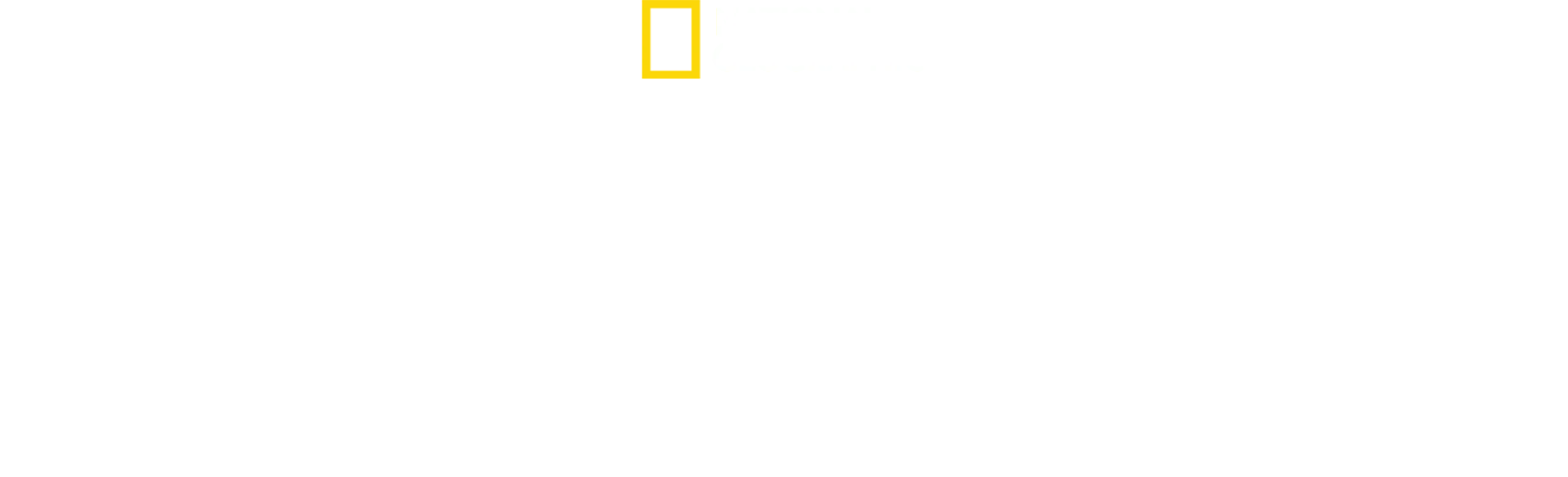 Pohotovosť pre exotické zvieratá