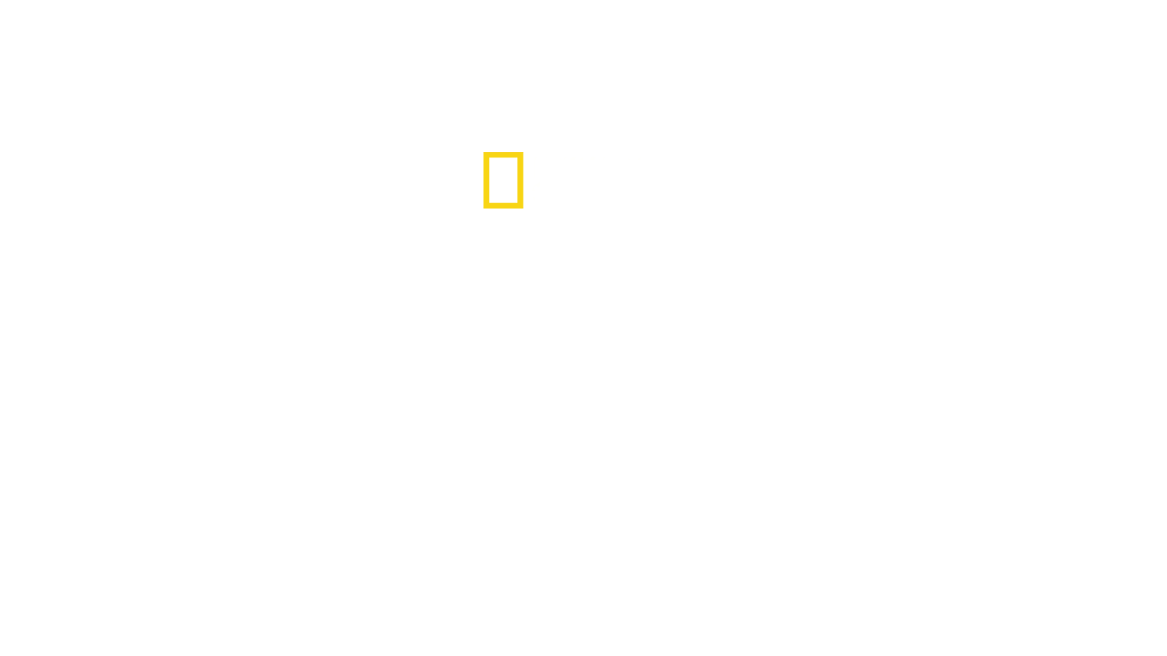 Žraloci ze ztraceného ostrova