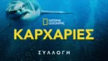 thumbnail - National Geographic Καρχαρίες