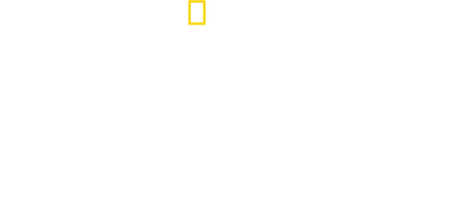 Los más raros de Sudamérica