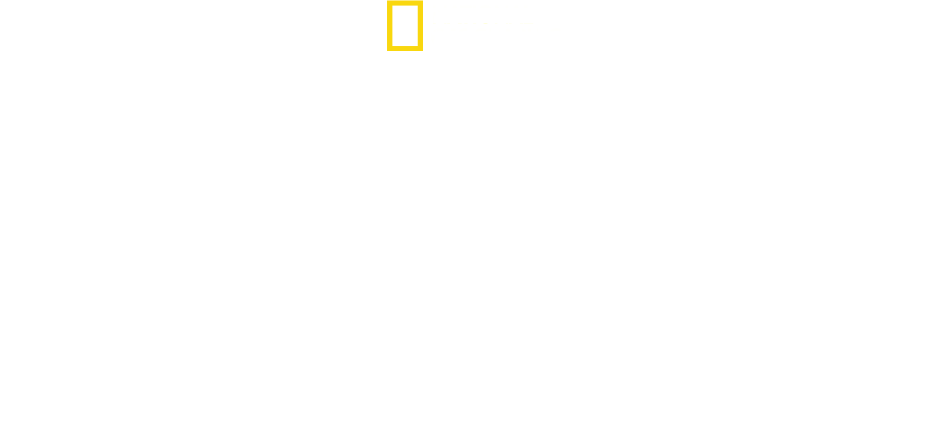 Los más raros de Sudamérica