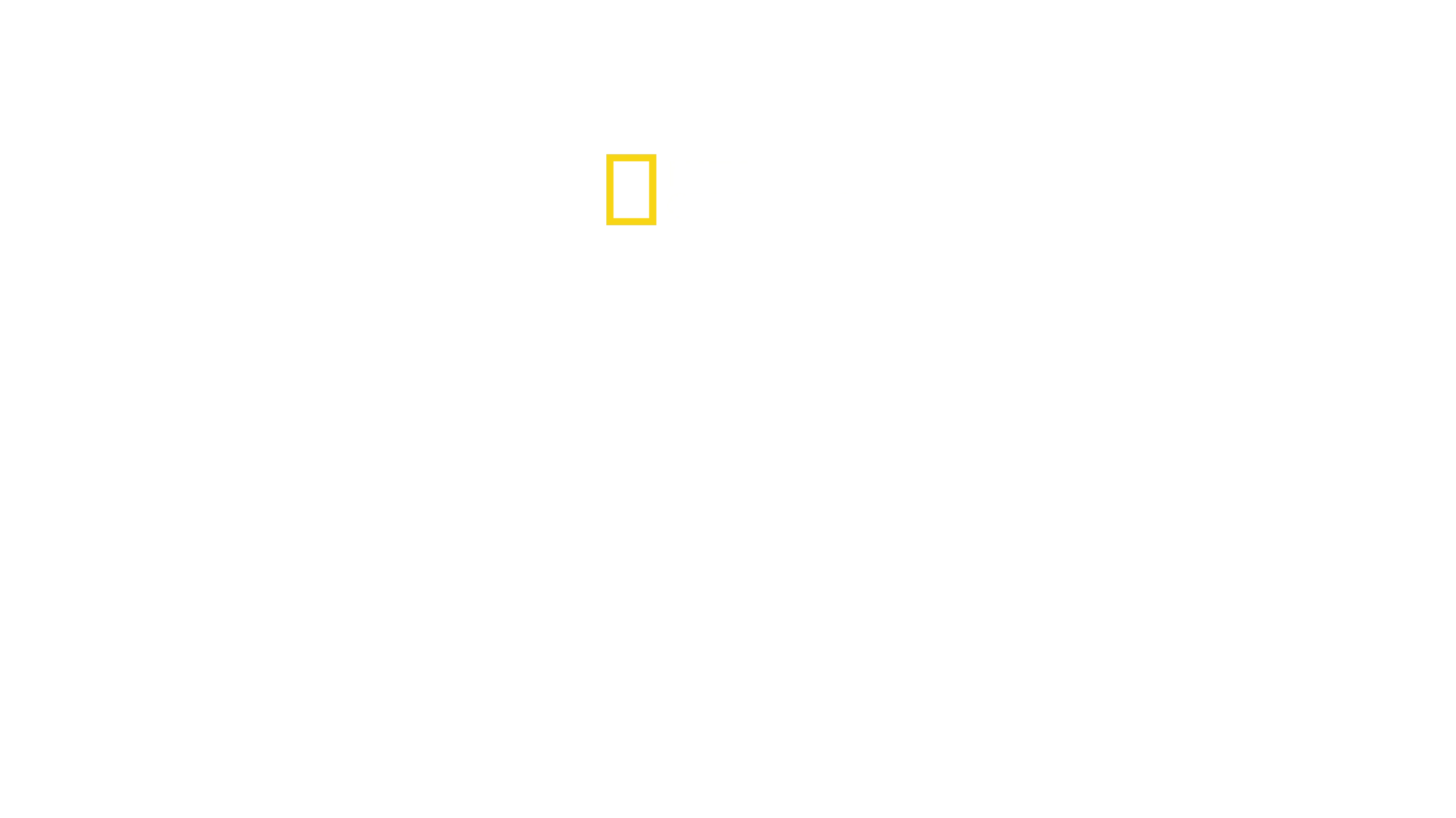 Alerta Aeroporto