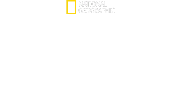 We Feed People - Uno Chef in prima linea