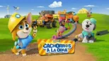 thumbnail - Cachorros a la obra
