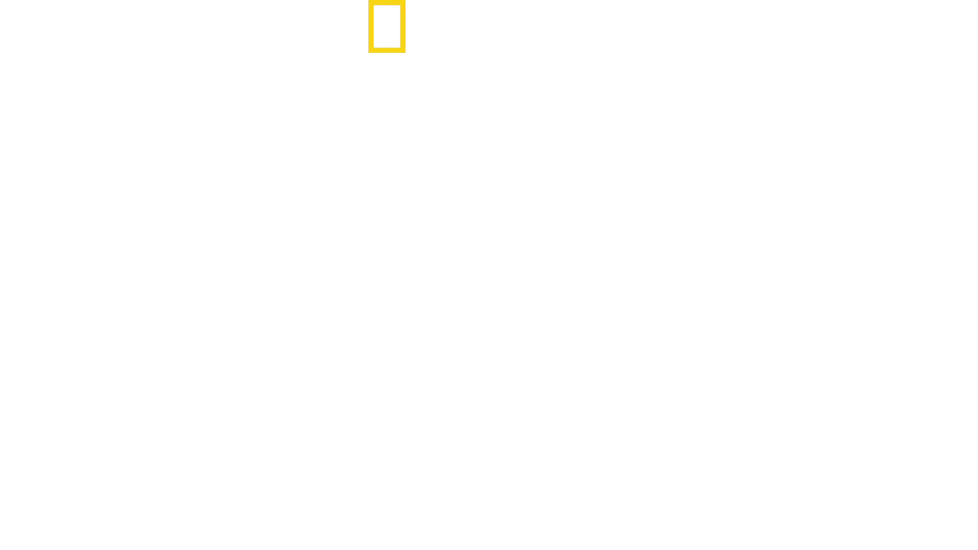 Isabel II en Primer Plano