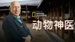 thumbnail - 动物神医