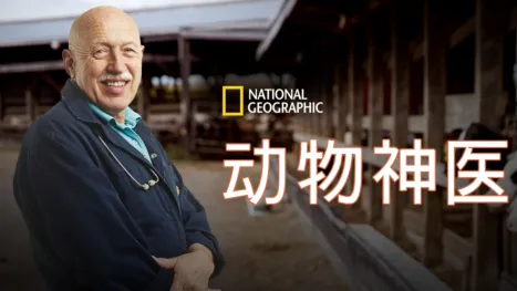 thumbnail - 动物神医
