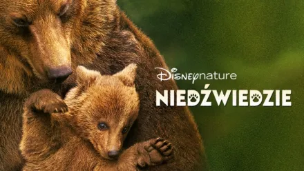 thumbnail - Niedźwiedzie