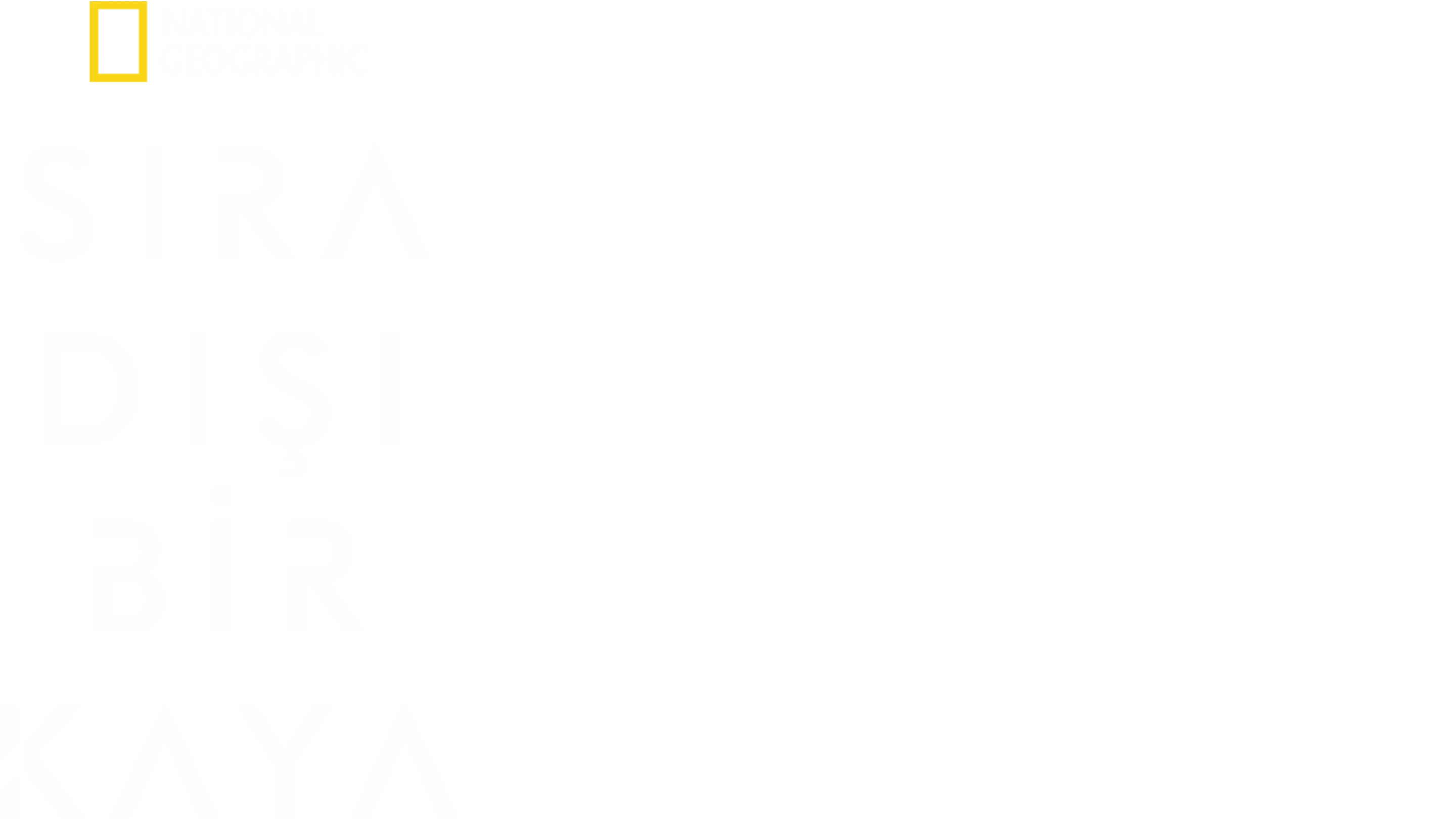 Sıra Dışı Bir Kaya