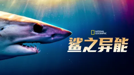 thumbnail - Shark Superpower