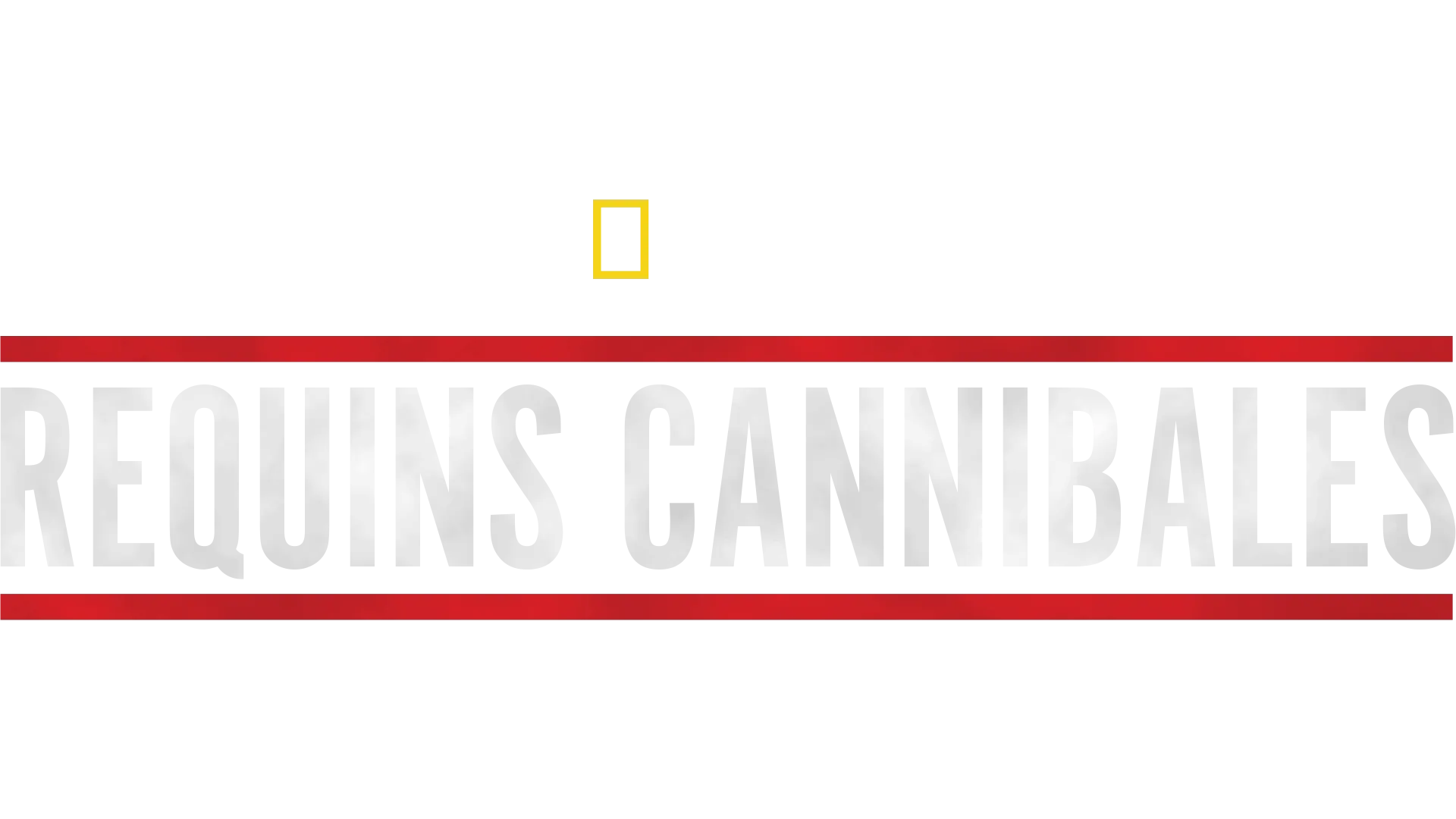 Requins cannibales
