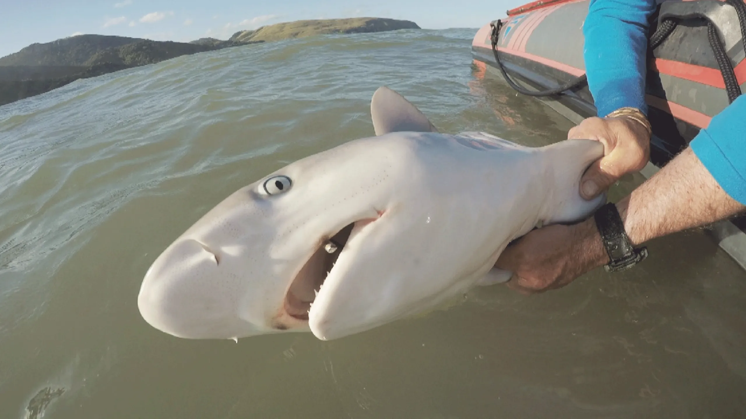 thumbnail - S4:E1 World's Deadliest Beach