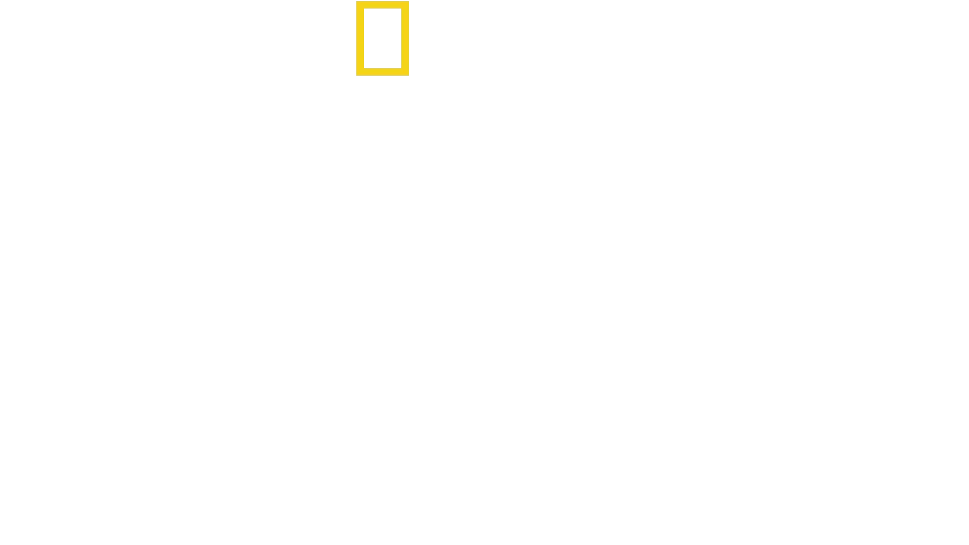 Die geheimnisvolle Welt der Wale