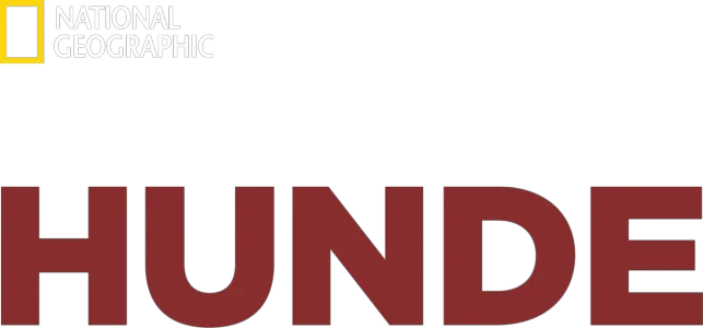 Zweite Chance für Hunde