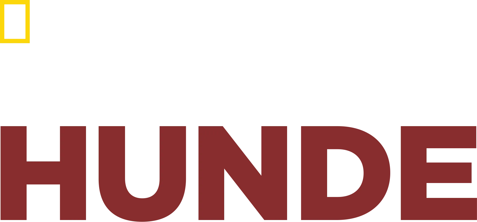 Zweite Chance für Hunde