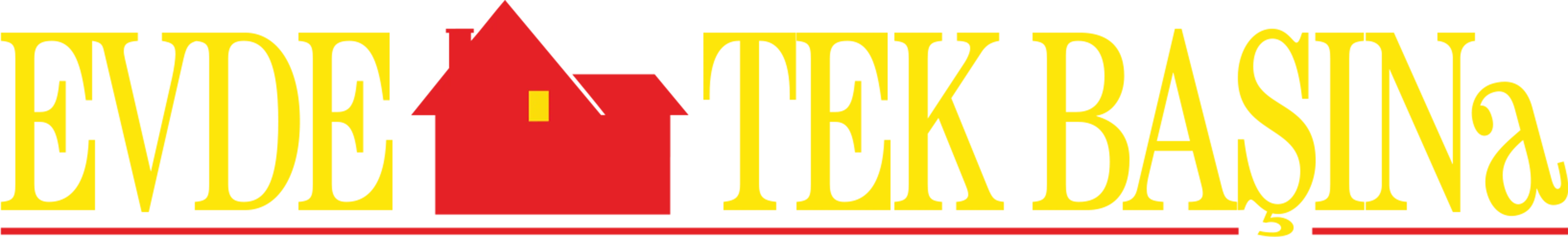Evde Tek Başına