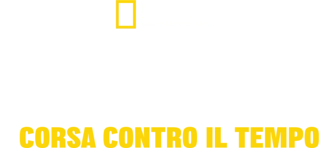 Tsunami: Corsa contro il tempo