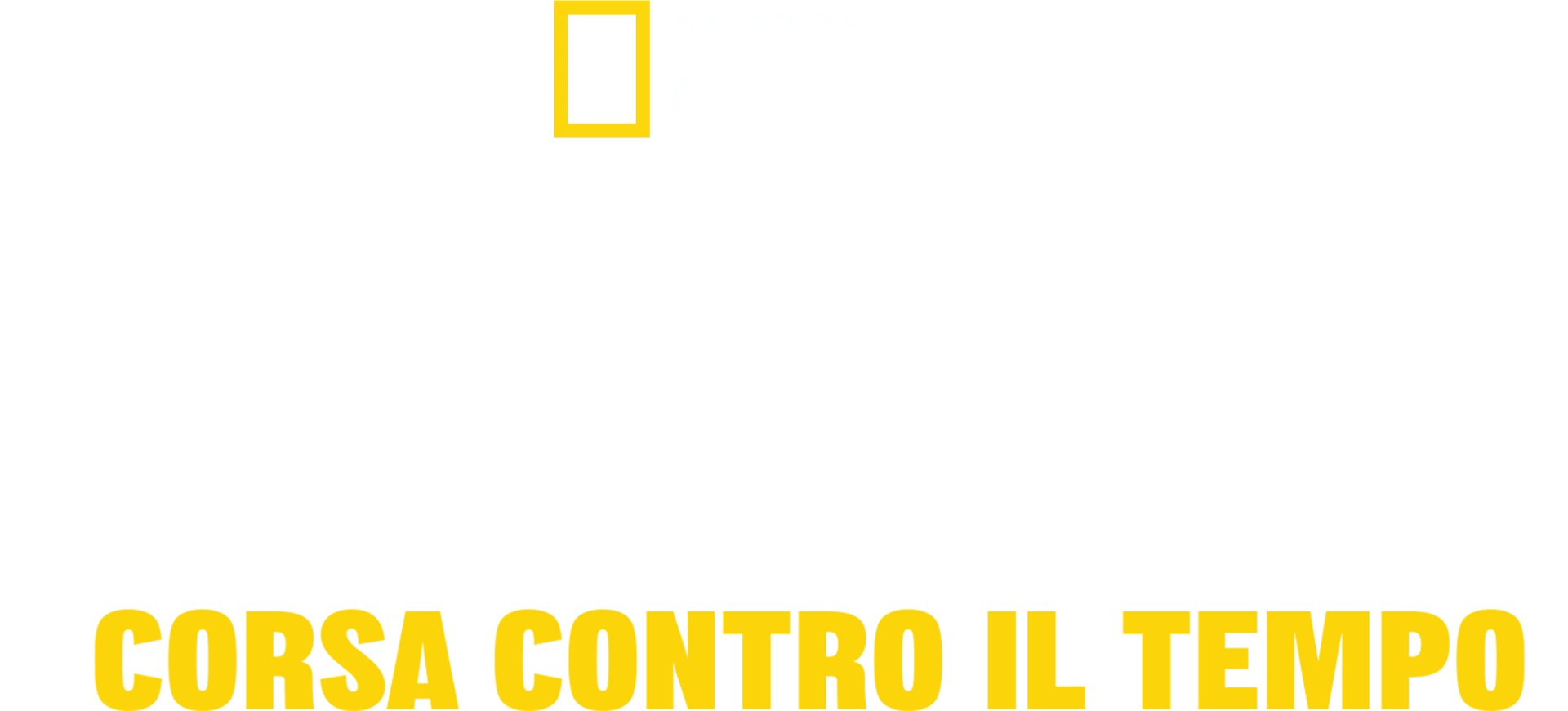 Tsunami: Corsa contro il tempo