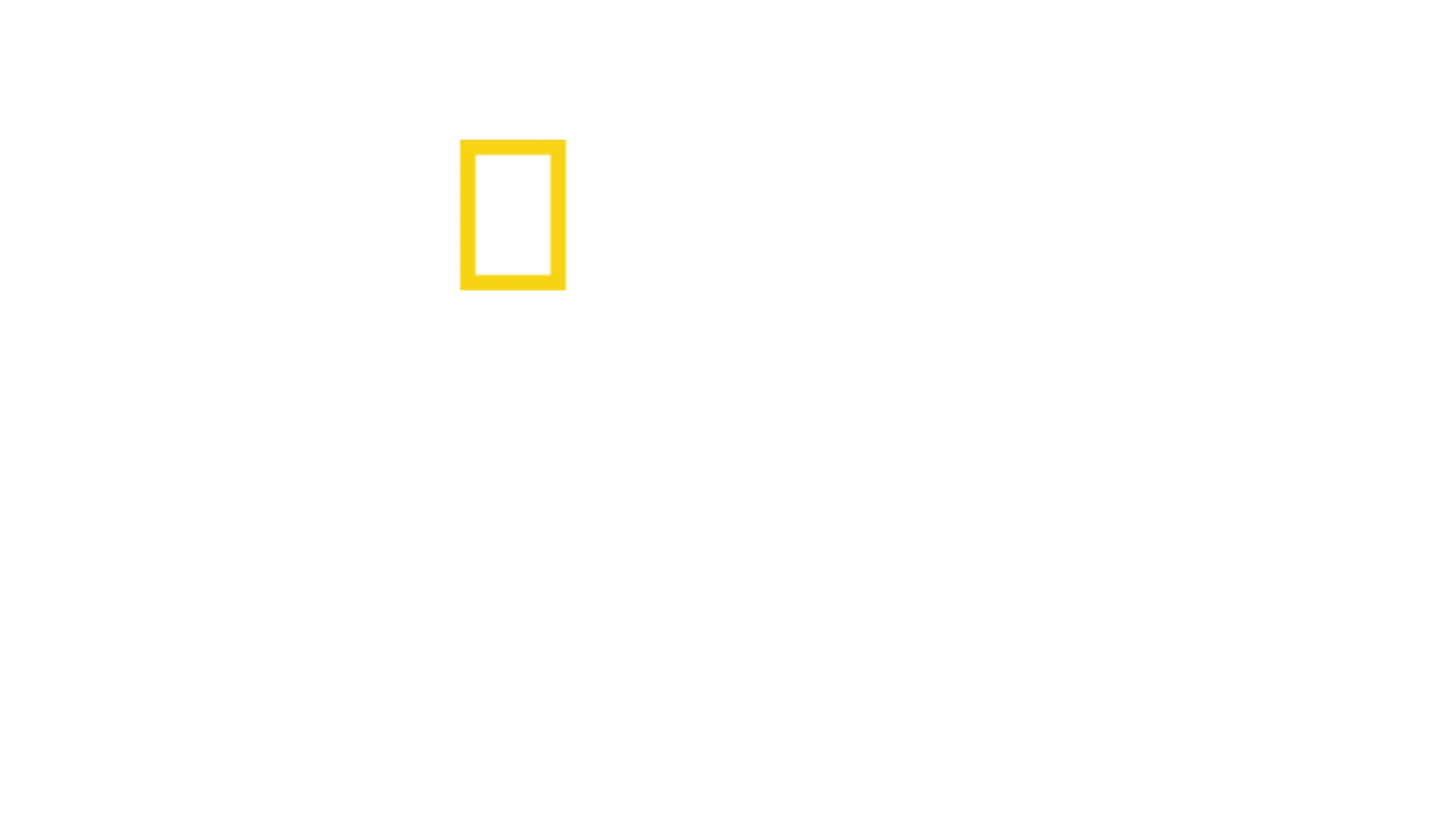 Vadinin İçinde