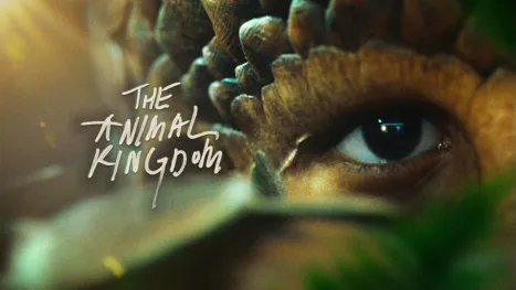 thumbnail - Criaturas asombrosas