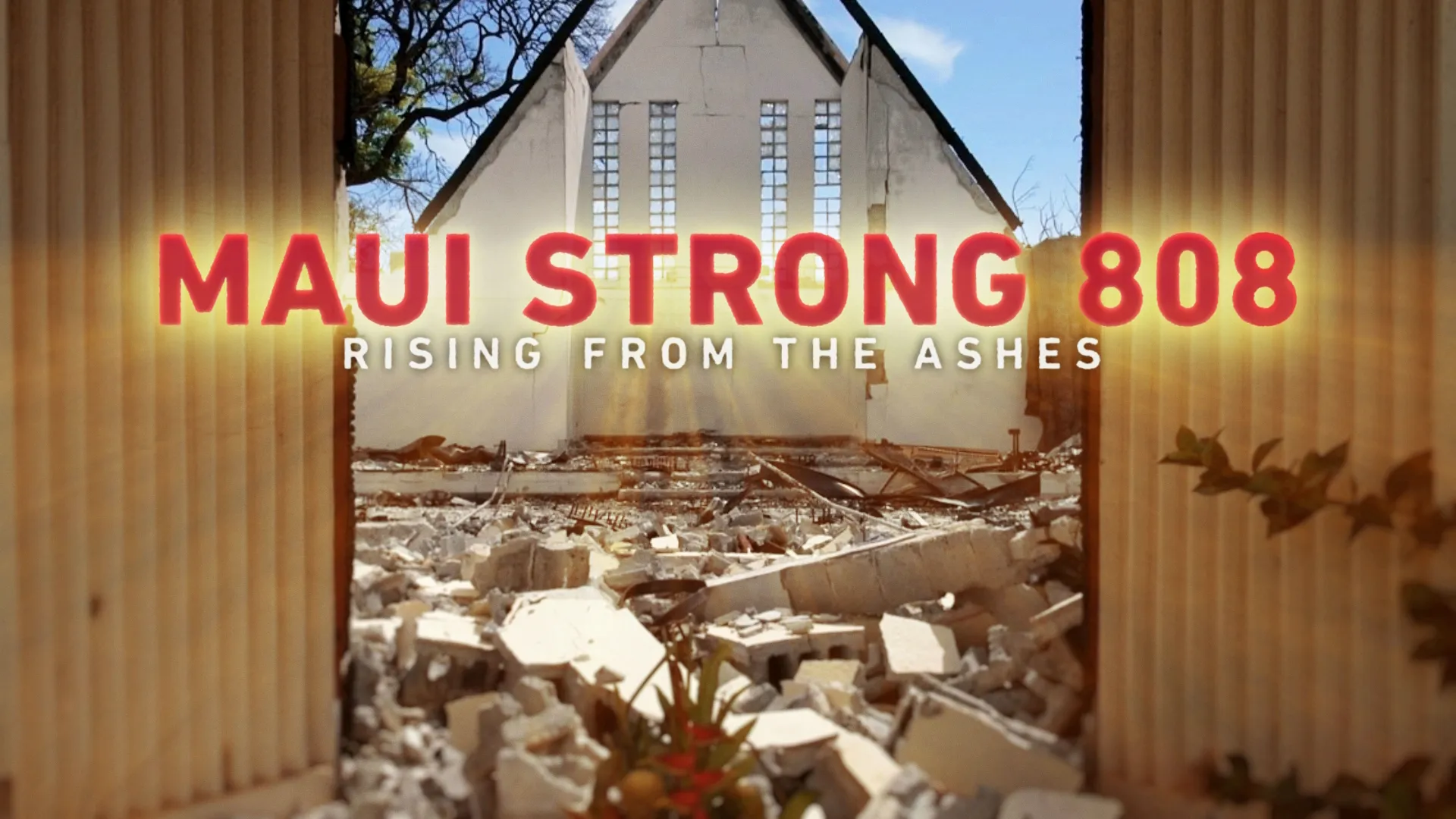 thumbnail - Maui Strong 808: Rising From The Ashes