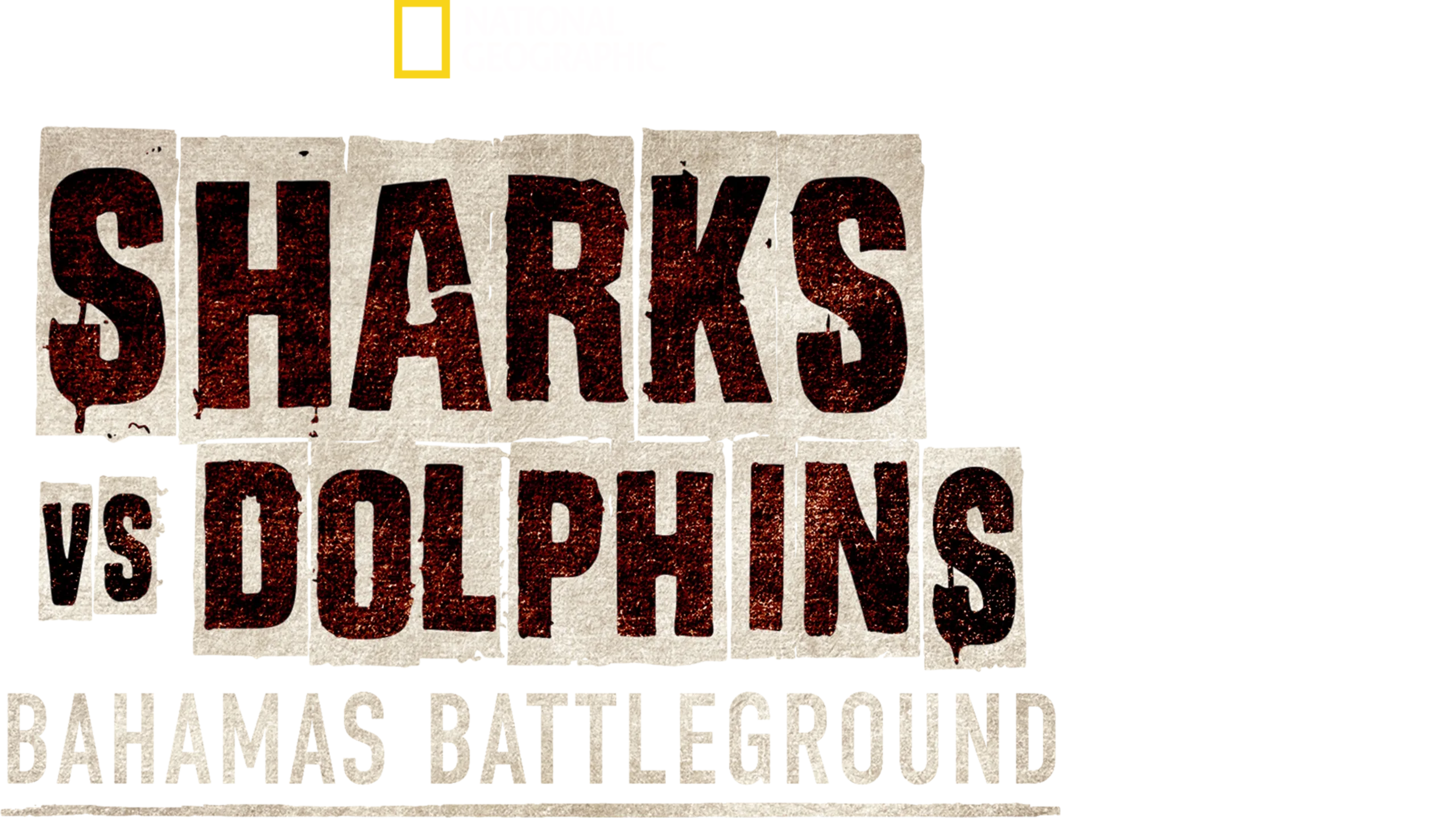 Sharks vs. Dolphins: Bahamas Battleground