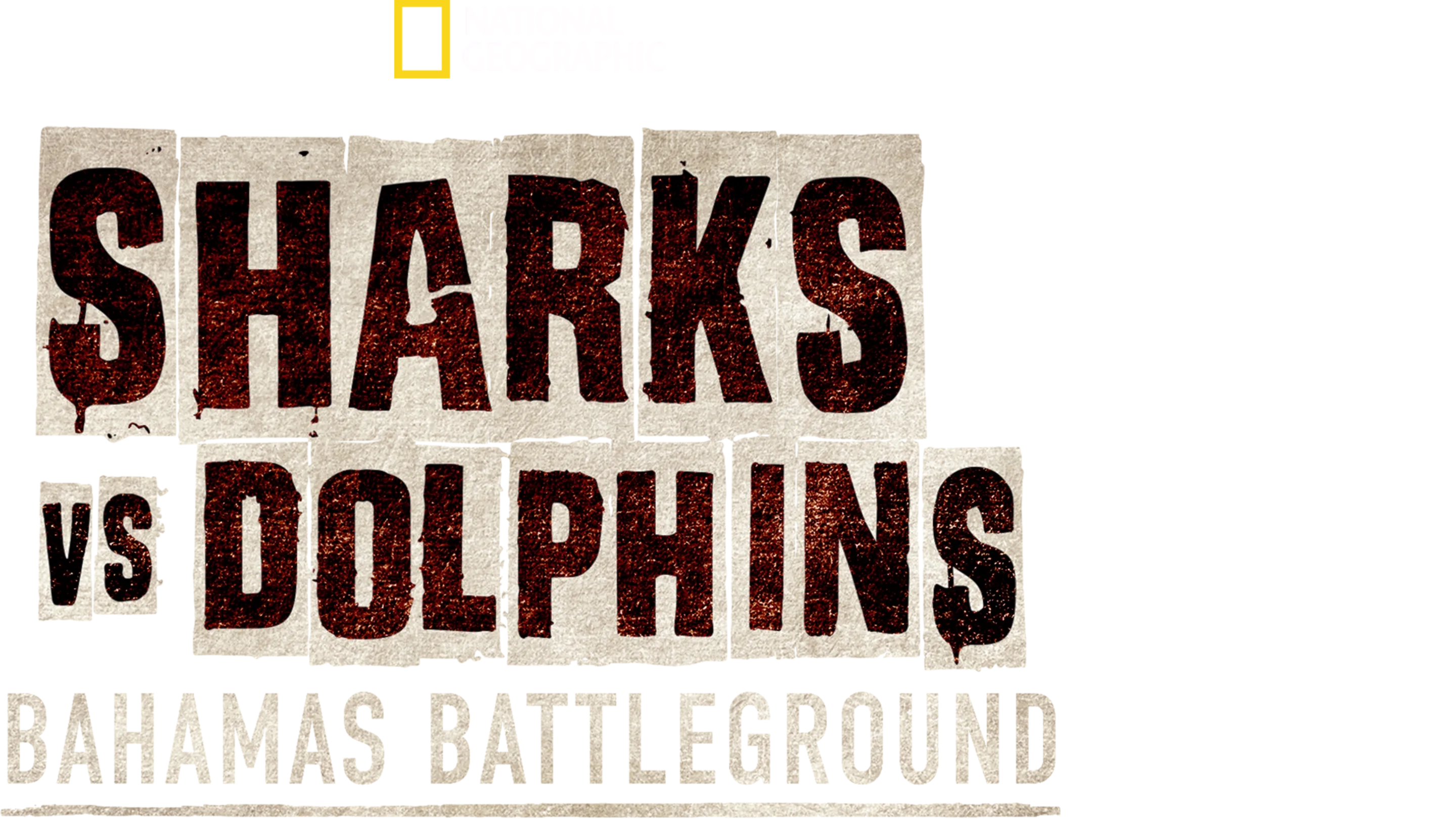 Sharks vs. Dolphins: Bahamas Battleground