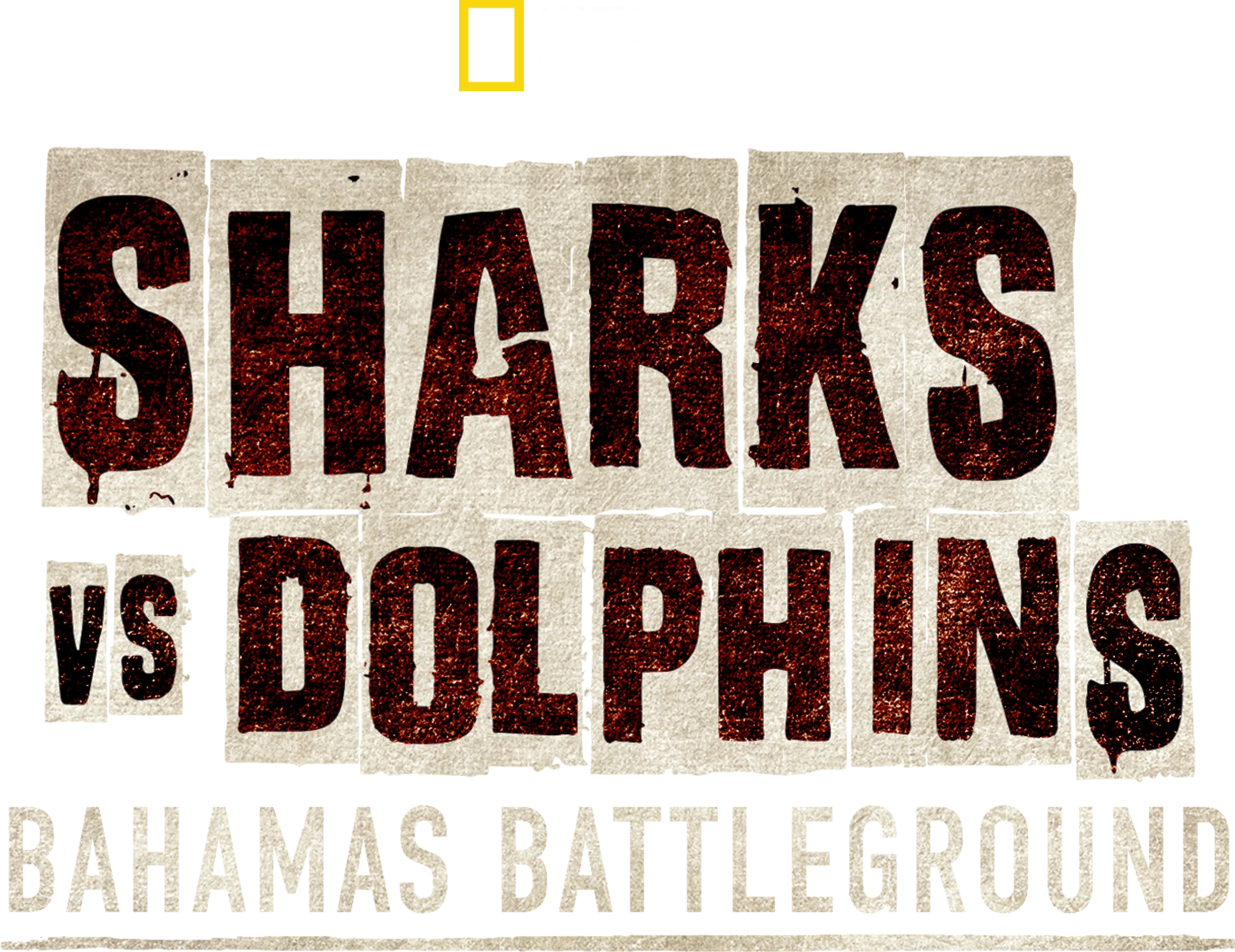 Sharks vs. Dolphins: Bahamas Battleground