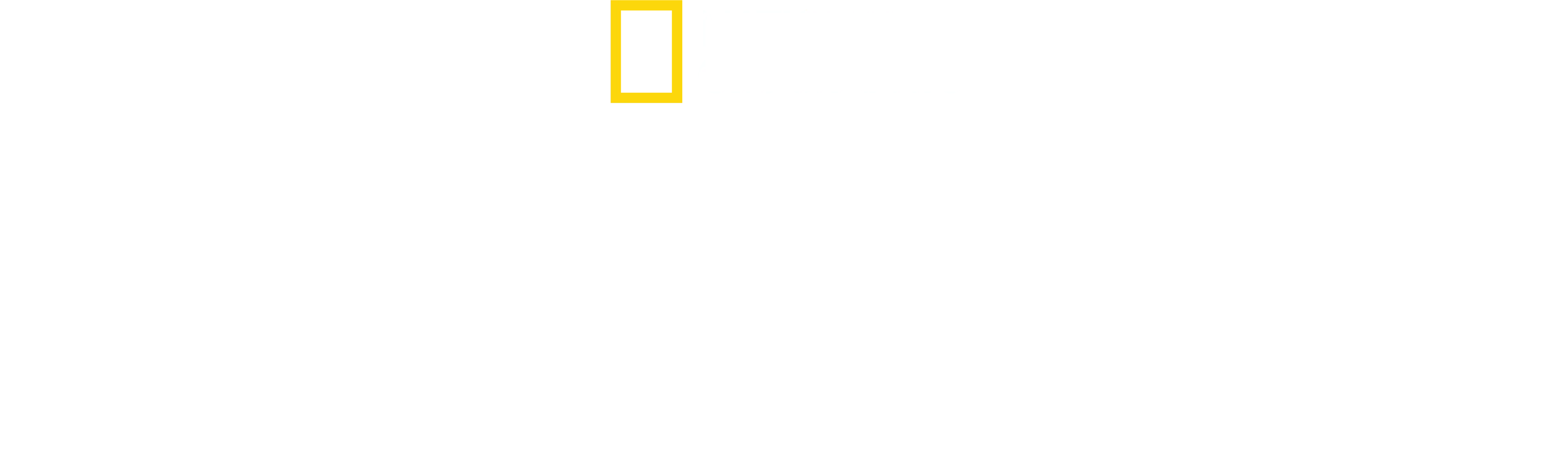 Światowa historia chleba