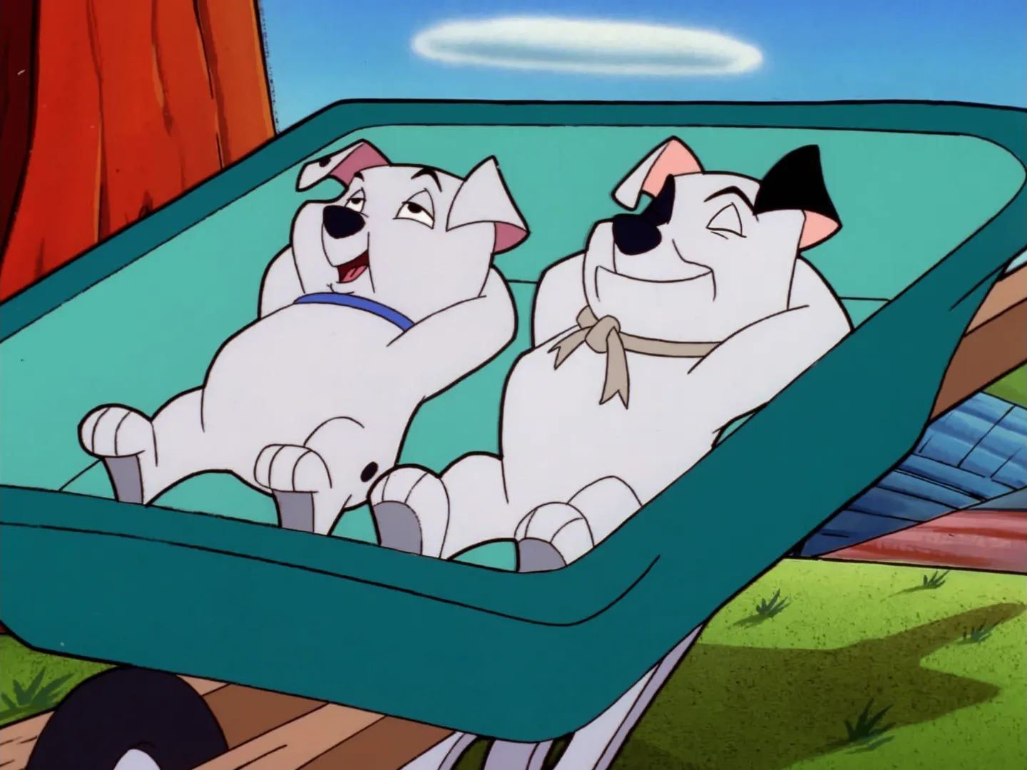 thumbnail - S1:E15 Citizen Canine