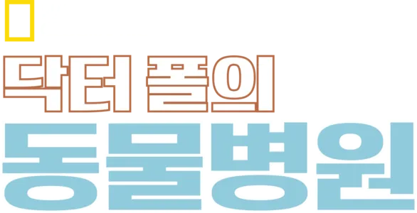 닥터 폴의 동물병원