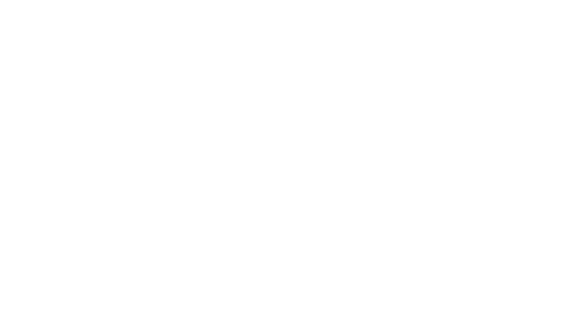 Ein Sommer in Antwerpen