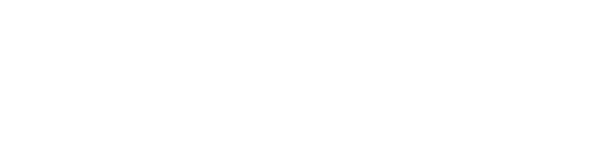 Ein Sommer in Antwerpen