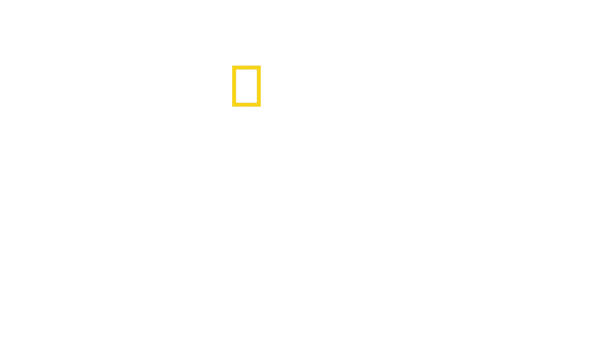 Origins: The Journey of Humankind