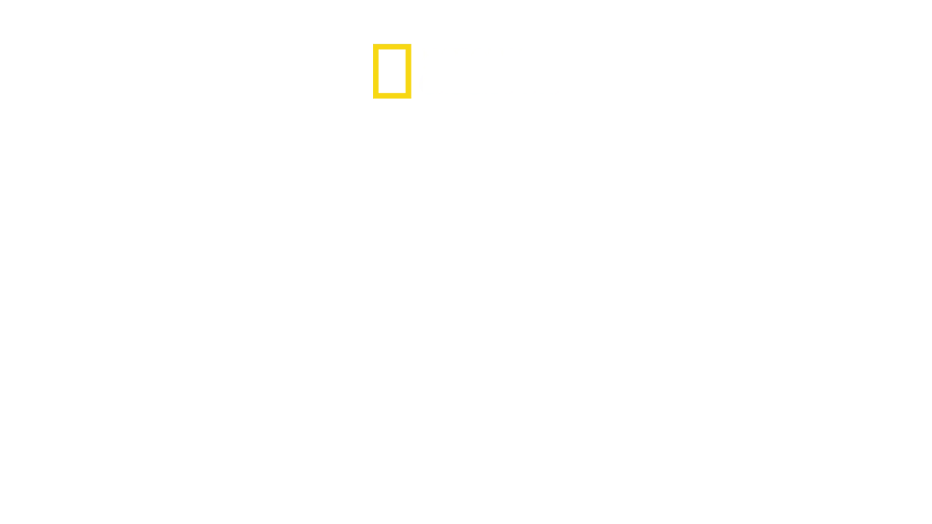 Orche vs Squali