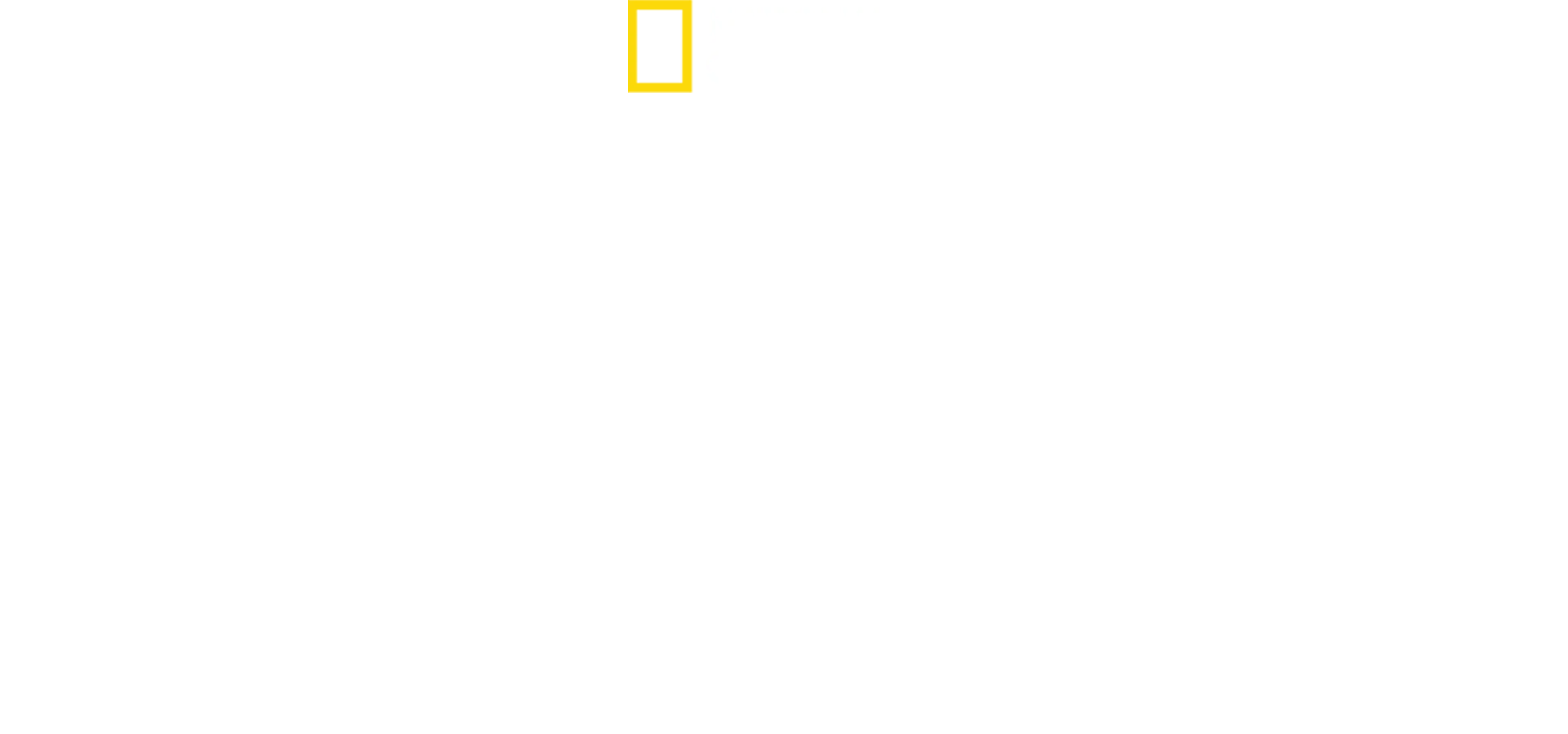 Orche vs Squali