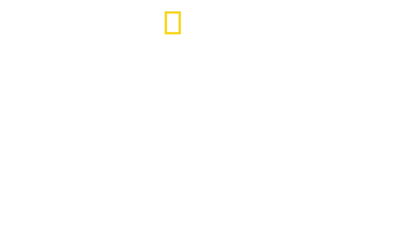 Jane: A Mãe dos Chimpanzés