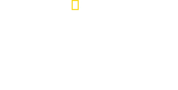 Jane: A Mãe dos Chimpanzés