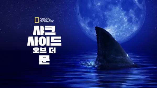 thumbnail - 샤크 사이드 오브 더 문