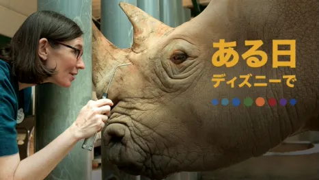 thumbnail - ある日 ディズニーで