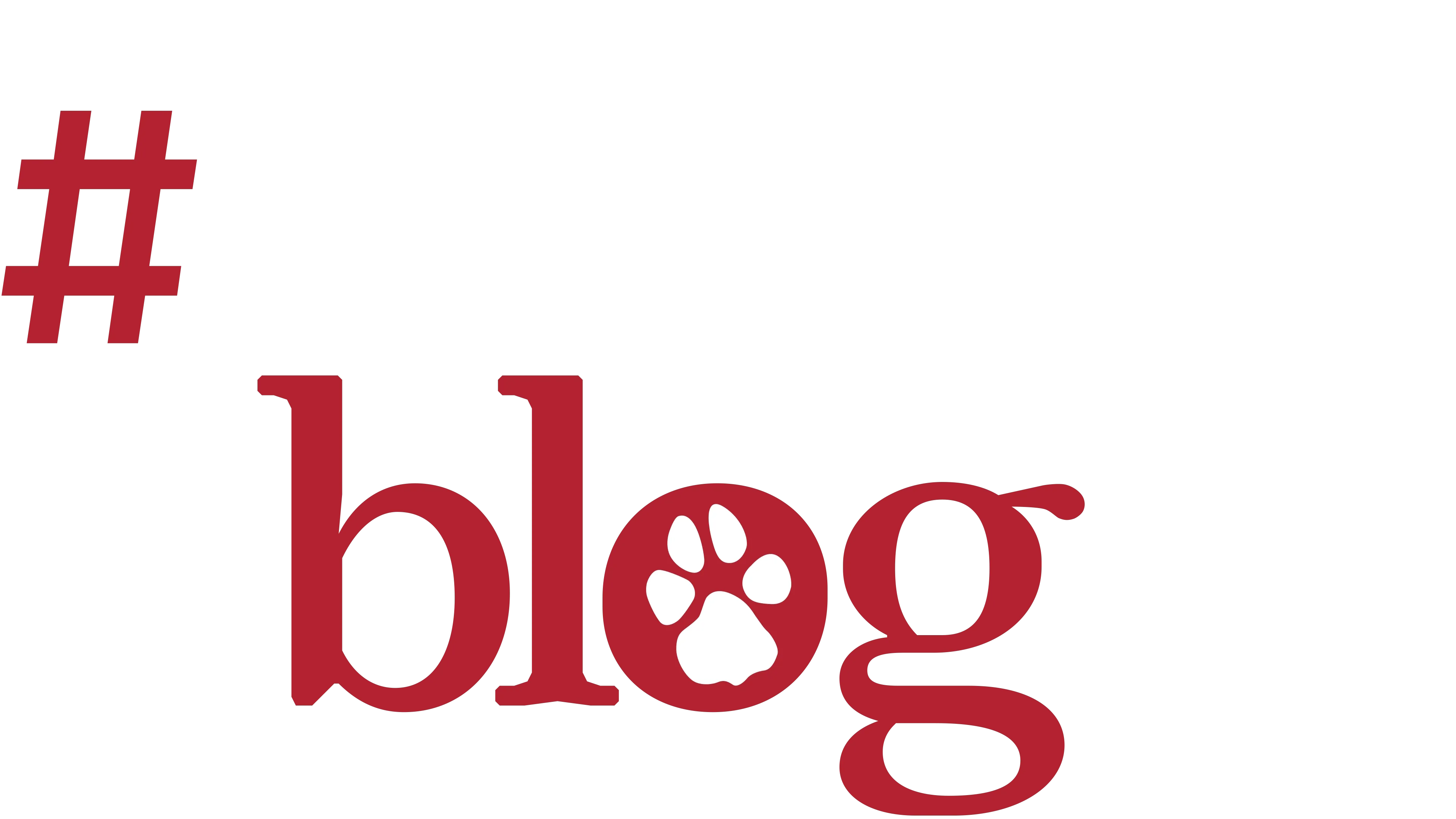 DOGGYBLOG